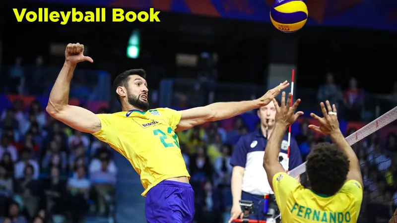 Best Middle Blockers In Volleyball