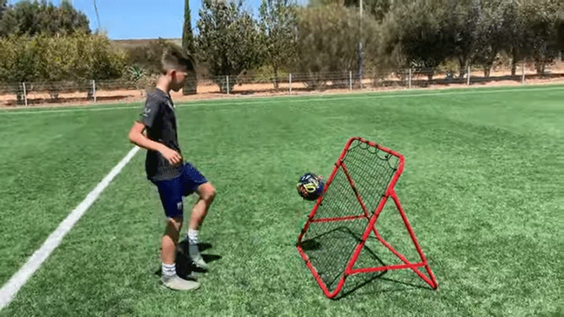 baseball rebounder