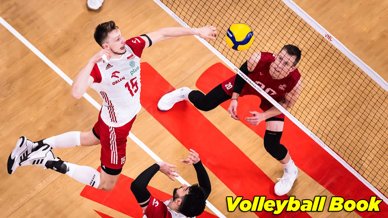 Average Height Of A Middle Blocker