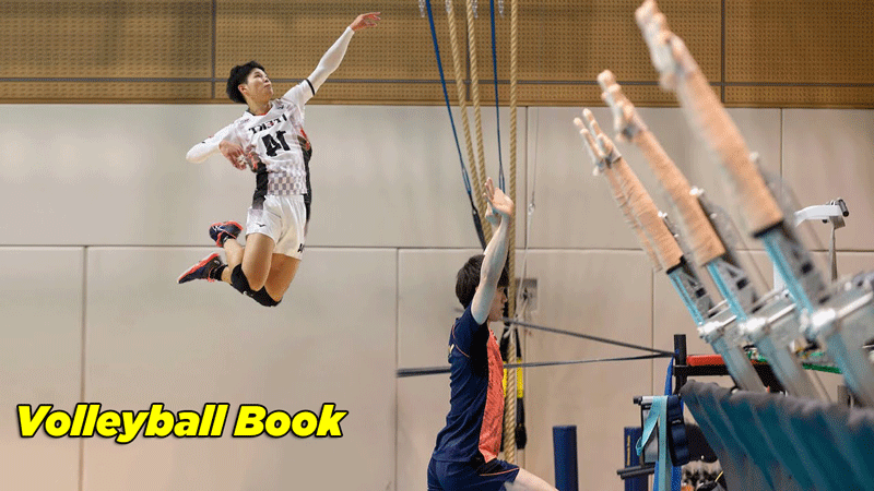 The Highest Vertical Jumps In Volleyball