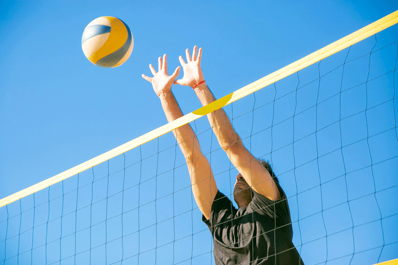 net in volleyball