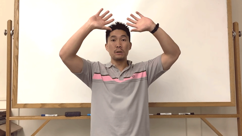 Can A Setter Dump With Two Hands?